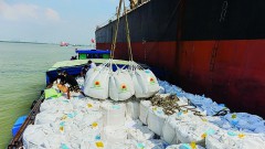 Linking Vietnamese rice exports