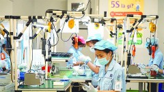 Vietnam's economy in 2024: positive prospects