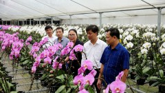 Bringing smart farming closer to Hanoi farmers