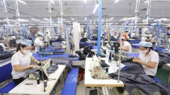 Green production critical to sustainable textile, garment export