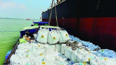 Considering long-term strategies for rice exports