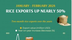Rice exports up nearly 50% in January-February