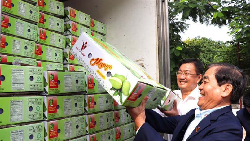 Vietnam 13th largest mango supplier for US