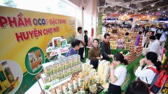 Vietnamese goods are becoming more and more "qualified"!