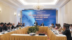 Vietnam Leading Business Council: Powering Economic Advancement