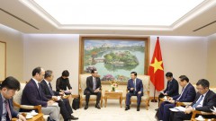 Vietnam, Japan promote financial mechanisms in green energy transition projects