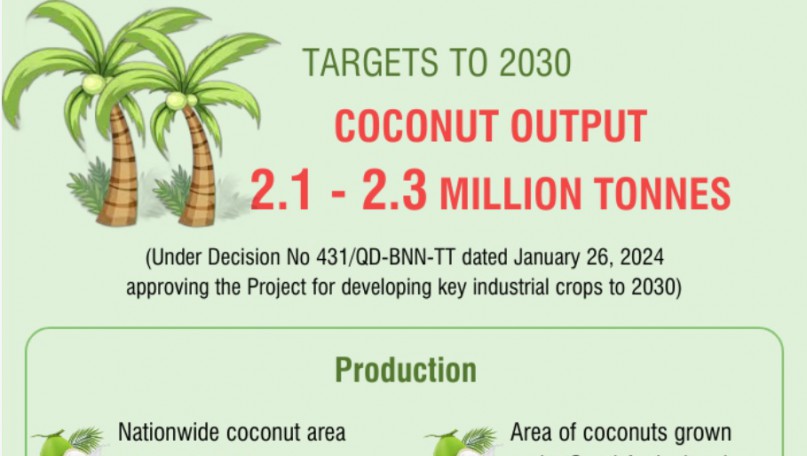 Coconut output to top 2 million tonnes by 2030