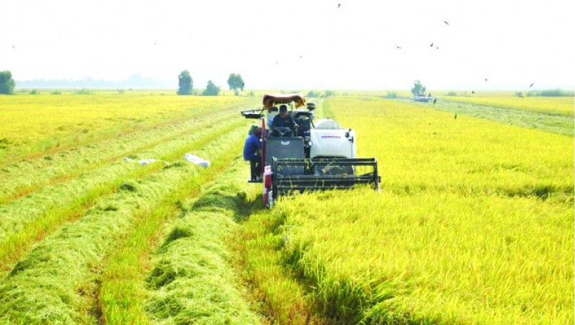 Carbon credit export from rice, coconut production