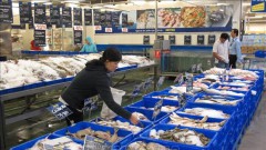 Ample room for Vietnam-Thailand cooperation in new economic sectors: official