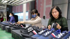 Q2/2024: Hanoi businesses expect better performance