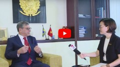 Vietnam, Brazil all-round ties on right track: Ambassador