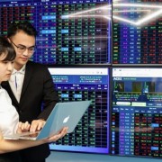 Investment opportunities in Vietnamese stocks with potential Fed rate reduction