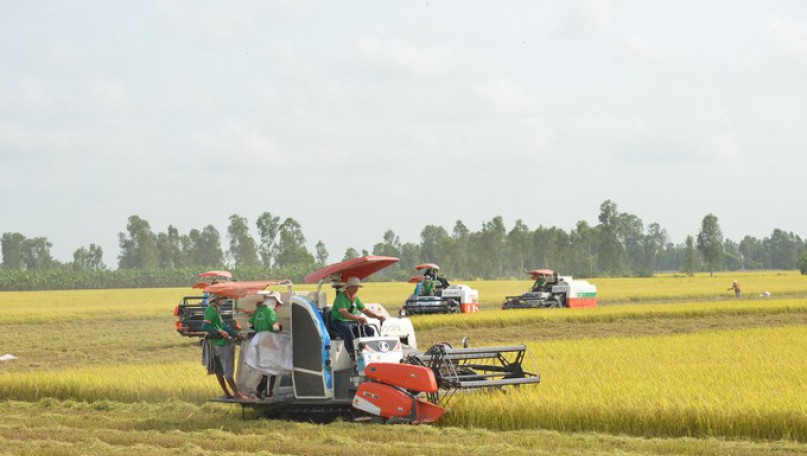 Mekong Delta: Position of the Global Food Basket