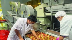 The fruit and vegetable industry has plenty of room for export in the five largest markets