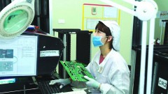 "Improving quality, increasing quantity" of human resources in the semiconductor industry