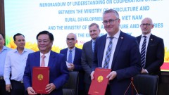 Denmark intensifies agriculture cooperation with Vietnam
