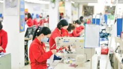 Market diversification key for enterprises to expand exports