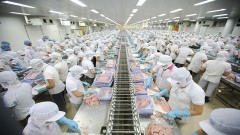 Export product bounce back results in needs to remove raw material bottlenecks