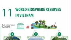 11 UNESCO-Recognized World Biosphere Reserves in Vietnam