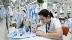 Vietnamese Gov't urged to cut business working week to 44 hours