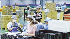 China speeds up investment in Vietnam