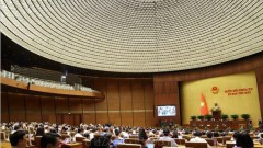 Measures taken to stabilise foreign exchange market: SBV Governor