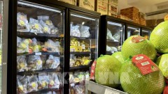 Vietnamese fruit exports boom, lychee crop faces declined output