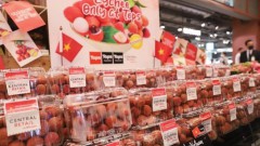 Enterprises urged to grasp Thai consumers’ taste to boost exports