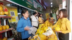 Hanoi strengthens export performance through comprehensive recovery strategy