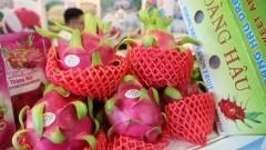 Experts stress the need to promote fruit sales, regulate export markets as peak season arrives