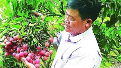 Priority is given to exporting seasonal agricultural products