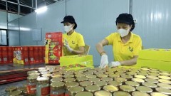 Boosting knowledge for Vietnamese SMEs through collaboration