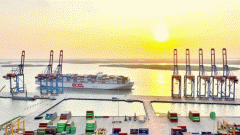 Efforts urged to minimise impact of skyrocketing sea freight costs