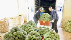 Vietnamese enterprises face challenges in building brands for&nbsp;their goods