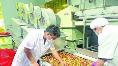 Bright oppotunity for export to Asia - Africa markets
