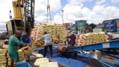 Philippine tax cut opens up new opportunities for&nbsp;Vietnamese rice exports