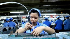 Vietnam holds huge opportunity for semiconductor industry: US expert