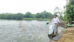 Hanoi to turn fisheries into important sector