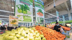 Boosting stimulus in domestic consumer market