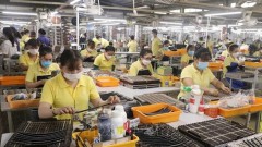 Manufacturing business sentiment to rise