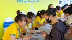 Tech sector remains strong driver of employment