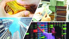 Seek for appropriate investment direction amid market fluctuations