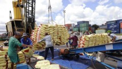 Vietnam, Philippines agree to establish rice industry alliance