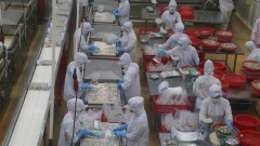 Vietnamese enterprises undeterred by economic headwinds: UOB