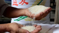 Vietnam's rice exports expected to have positive result in H2