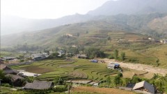 Lao Cai makes use of strengths to meet tourists’ travel trend