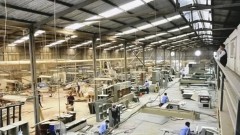 Vietnam’s wood processing sector sees rosy signs in first months