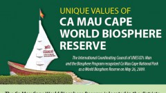 Unique values of Ca Mau Cape World Biosphere Reserve