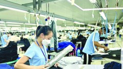 Timely adapt to market fluctuations for sustainable export