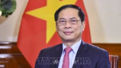 Vietnam-China relationship at deepest, most comprehensive and substantive level ever: FM